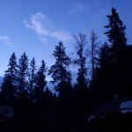 Sunrise at the Hoestead