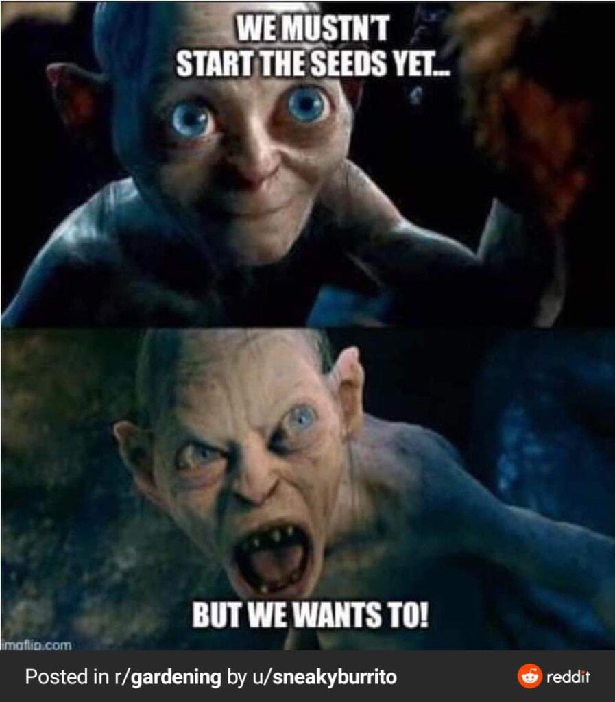 Must start the seeds