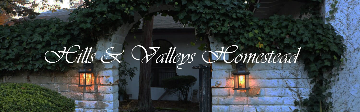 Hills and Valleys Homestead